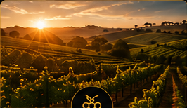 Barossa vineyards at sunset